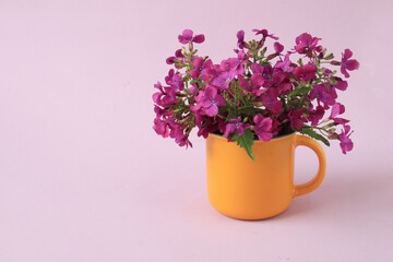 Bouquet of lilac flowers in a yellow cup on a pastel background, side view, space for text