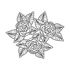 Peony or roses for coloring book. Hand-drawn flower arrangement. Black and white vector illustration