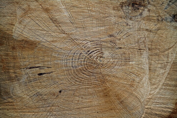 Naklejka premium Holzstruktur