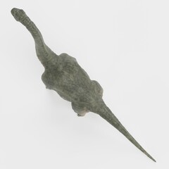 Realistic 3D Render of Brachiosaurus Dinosaur © bescec