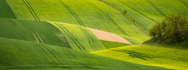 Wavy agricultural field of Moravian Tuscany. Czech Repulbic