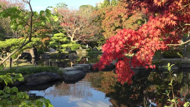 Himeji Koko-en garden with the Grey Heron afar in autumn.  Japan