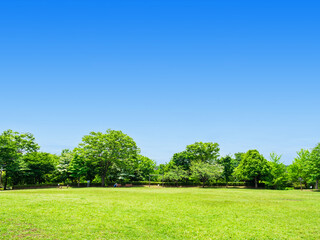 青空と緑の公園広場
