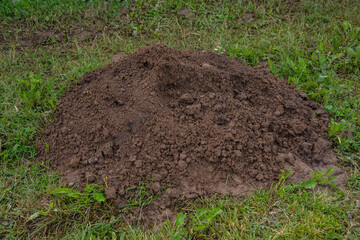 Stack of soil on the grass in the garden
