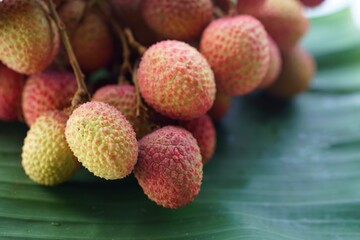 Selective focus on red litchi fruits on green background. Blurred. Seasonal Thai fruits concept.