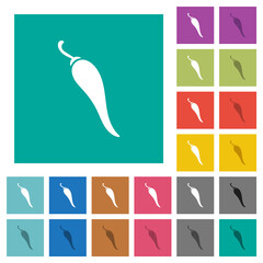 Chili pepper square flat multi colored icons