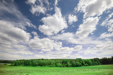 field and blue sky with impressive clouds
