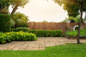 Fotobehang Tuin Backyard cottage garden on brown pavement, green grass lawn, bush and tree