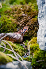 firebug on the rock