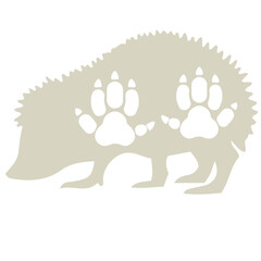 The contour image of a brown hedgehog on a white background with the placement of footprints with white claws on the animal's body