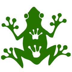 The contour image of a green frog on a white background with the placement of traces of front and hind paws with white membranes on the animal's body