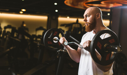 Naklejka na ściany i meble Charismatic red-bearded male bodybuilder performs barbell biceps exercise in a sports club.