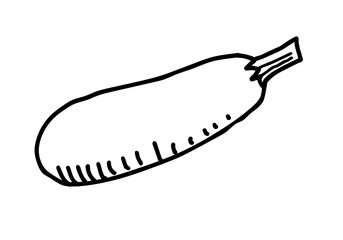 Bottle gourd hand drawn illustration