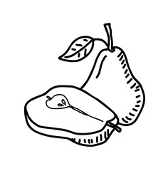 Pear hand drawn illustration