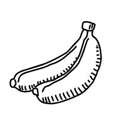 Banana hand drawn illustration