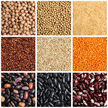 Collage with photos of different legumes and seeds. Vegan diet