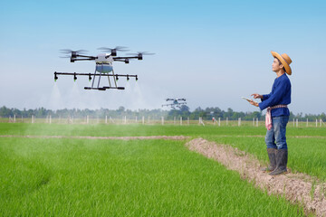 Asian farmer man wears traditional costume control Agricultural drone at green rice farm.