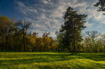 field and blue sky