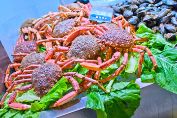 Cantabric Spider-Crab, South Market, Gijón, Asturias, Spain, Europe