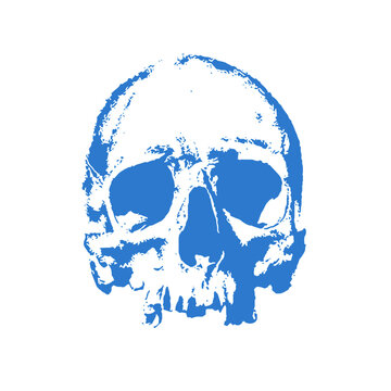 Blue skull vector. Realistic skull T shirt design. Download it now
