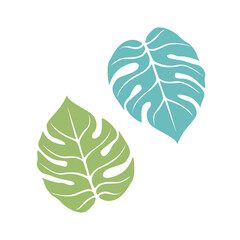 Graceful sheet. Vector isolated element. White line logo on a blue background. Tropical garden plant.