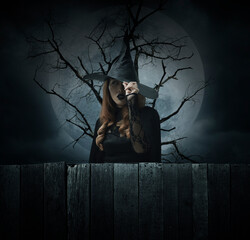Scary halloween witch standing over dead tree, full moon and cloudy spooky sky, Halloween mystery...
