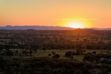 Pantanal, Brazil.