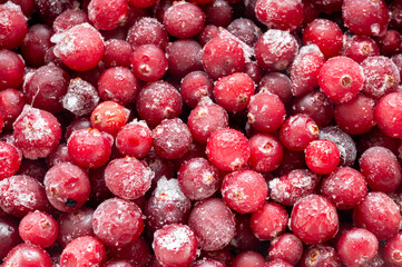 background with frozen cranberry berries