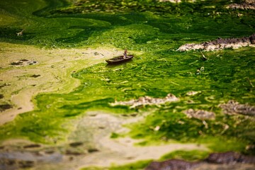 boat with people in the pond