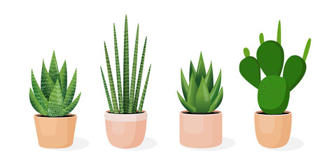 Set of plants in pots. Vector illustration of aloe, cactus, haworthia, sansevieria isolated on white background. Trendy home decor with plants, urban jungle. Succulents.