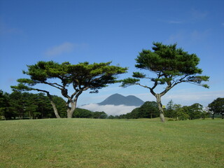 Mt. Futamata seen between the twin tree