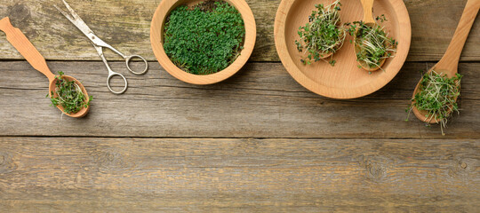 green sprouts of chia, arugula and mustard in a wooden spoon on a background from old gray boards, top view
