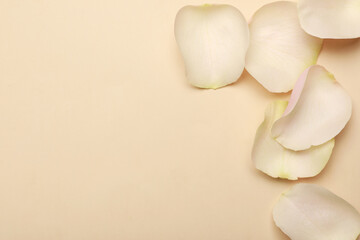 Beautiful rose petals on beige background, flat lay. Space for text