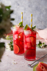 Watermelon soda lemonade with lime syrup and rum. Delicious cocktail cold fruit drink.