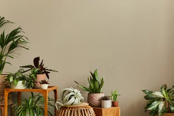 Poster Stijlvolle compositie van huistuininterieur gevuld met veel mooie planten, cactussen, vetplanten, luchtplant in verschillende designpotten. Home tuinieren concept Home jungle. Kopieer ruimte. Sjabloon © FollowTheFlow