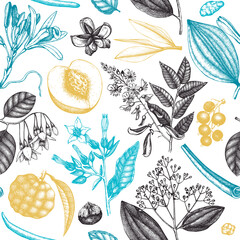 Vector background with fragrant fruits and flowers. Hand sketched perfumery and cosmetics ingredients backdrop. Aromatic and medicinal plant design. Botanical seamless pattern for brands or packaging
