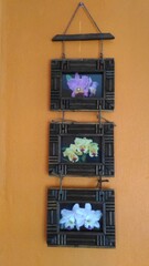 orchid pictures and frames hanging on orange wall