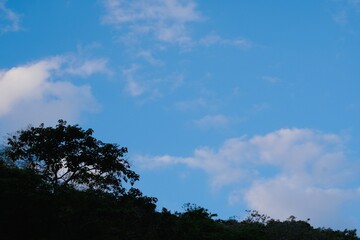 Obraz premium 夕暮れ時の青空