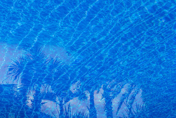 Eau bleue de piscine avec reflets de palmes