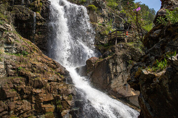 Naklejka premium Mountain Altai