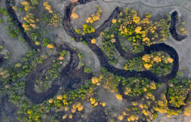 A winding river flows through a swampy plain and forest, aerial view.
