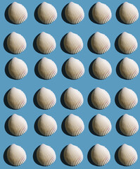 Pattern from seashells with hard shadow on a blue background, top view.