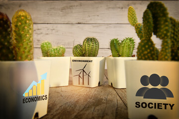 Environment, society and economics written on pot with Cactus and succulents plant on wooden...