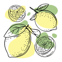 LEMON Abstract Delicious Citrus Fruit With Leaves And Cut In Half For Design Your Store And Restaurant Menu Hand Drawn In Sketch Style Vector Illustration Set