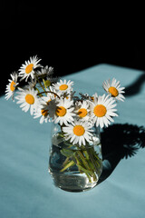 margherite fiore petali vintage vaso 
