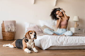 Young african woman in casual wear with beagle puppy