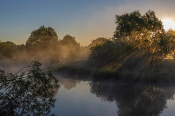 Dawn by the river in spring. Sunbeams in the fog through the branches of the bushes. Fog over the river. Beautiful landscape of morning freshness