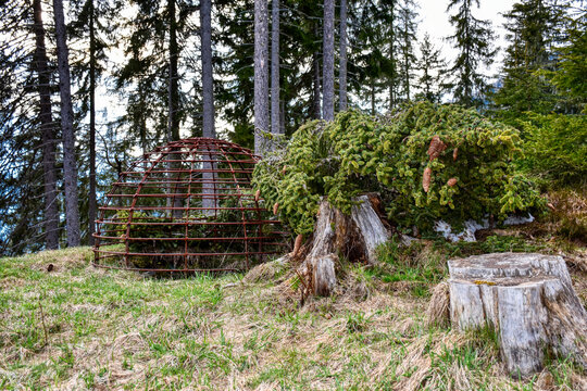 Gaimberg, Osttirol, Wolfsgrube, Relikt, Historisch, Gitter, Kuppel, Rost, Eisen, Schutz, Fallschutz, Jagd, Jagdmethode, Wolf, gef&uuml;rchtet, Schadwild, Grube, tief, Stein, Steinmauer, Steine, fallen, Fal