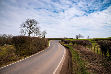 Naklejka premium winding road in the countryside