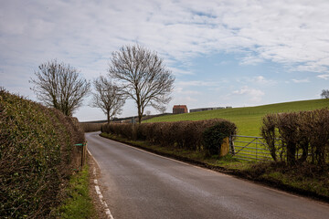 road in the countryside with trees